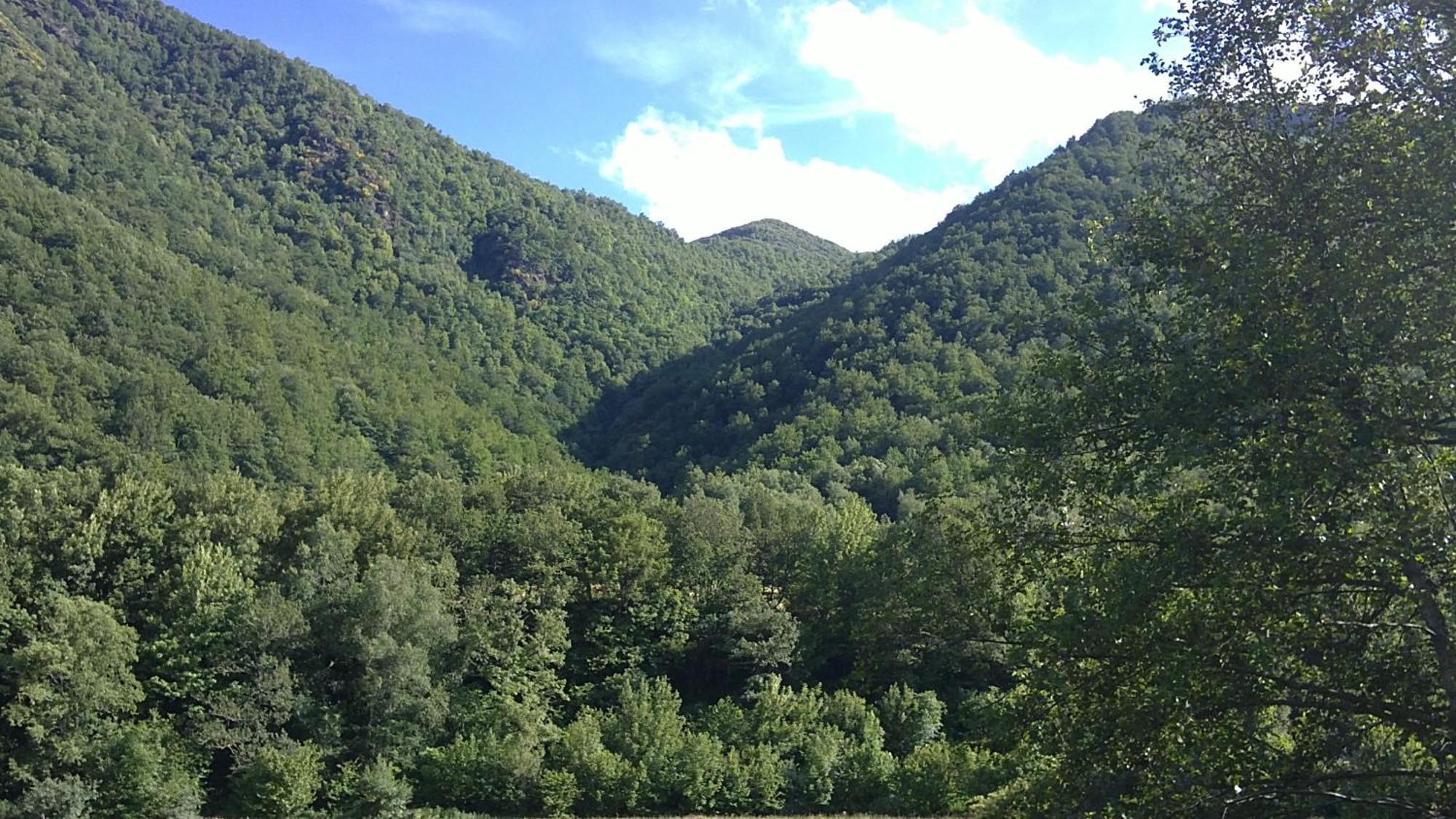 Apartamentos Rurales L'Abiseu Caboalles de Abajo Екстер'єр фото